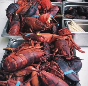 best caterer nyc new york lobster.webp